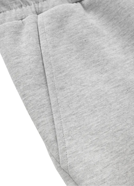 PIT BULL &quot;Dolphin&quot; tracksuit shorts - gray