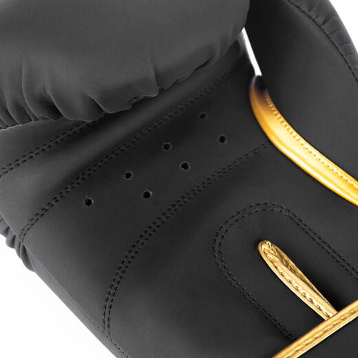 Boxing Gloves Bushido &quot;Gold Dragon&quot;