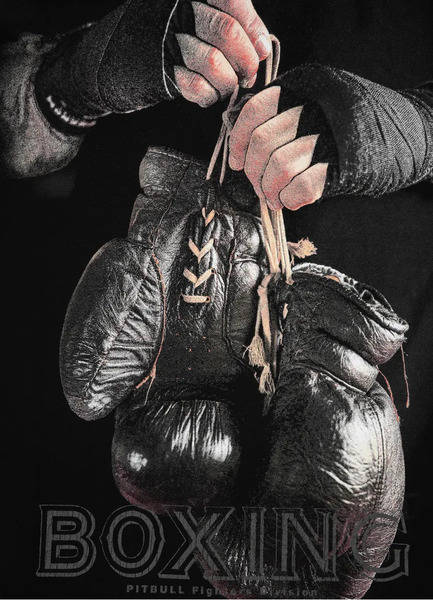 Bluza PIT BULL "Boxing FD" - czarna