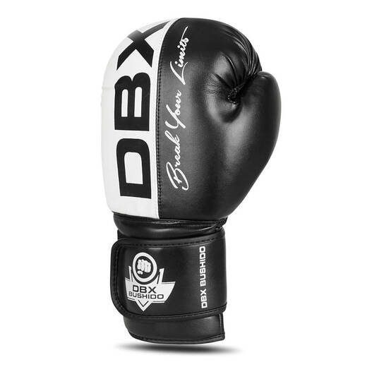 Bushido B-2v20 boxing gloves