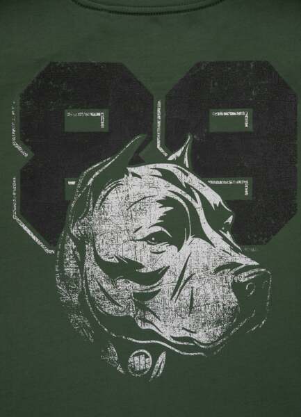 PIT BULL &quot;DOG 89&quot; T-shirt - green