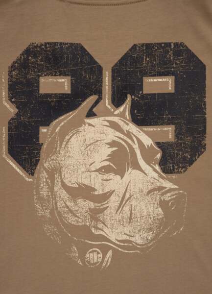 Koszulka PIT BULL "DOG 89" - brązowa