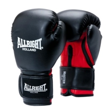 Allright Master boxing gloves