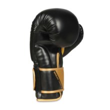 Bushido boxing gloves - B-2v10