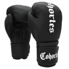 Cohortes boxing gloves &quot;Kevlar Cohort&quot;