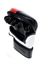 MMA MASTERS GFS-10 gloves