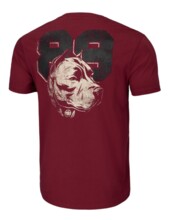 Koszulka PIT BULL "DOG 89" - burgundowa