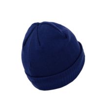 PIT BULL &quot;Small Logo &#39;21&quot; winter hat - royal blue
