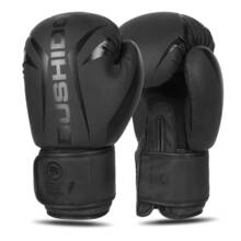 Bushido B-2v22 boxing gloves