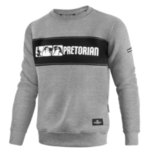 Sweatshirt Pretorian "Fight Division" - grey